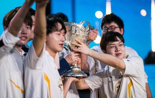 爆料狼队训练视频大全下载,视频大全下载解析